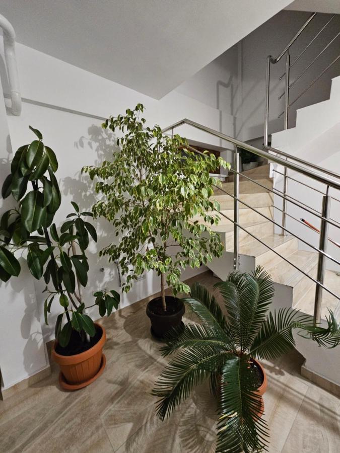 Didi Apartament Craiova Luaran gambar